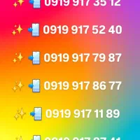 0919.917.9005|سیمکارت|شیراز, شهرک بهار|دیوار