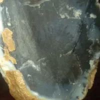 عقیق شجر دار|کلکسیون اشیاء عتیقه|شیراز, کوشک میدان|دیوار