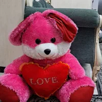 کادو ولنتاین اقتصادی