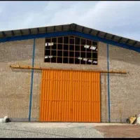 استخدام نیروی جوان