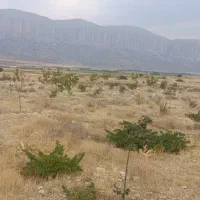 زمین باغی روستای دشت ارژن|فروش زمین و ملک کلنگی|شیراز, گلدشت معالی‌آباد|دیوار