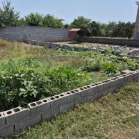 چسبیده به بافت /اب/برق/گاز/شمال|فروش زمین و ملک کلنگی|کیاکلا, |دیوار