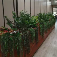 انواع درختچه و گل تزیینی و آویز|گل مصنوعی|ملایر, |دیوار