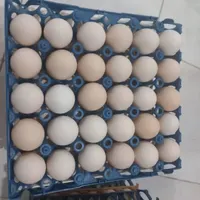 تخم مرغ محلی