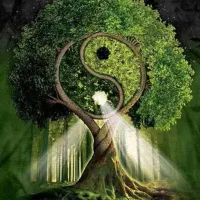 بهبود انرژی و فضای کار و منزل شما با کمک فنگ شوی|فعالیت داوطلبانه|تهران, بریانک|دیوار