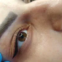خدمات میکرو ومیکروپیگمنتیشن لب .ابرو .وچشم .|خدمات آرایشگری و زیبایی|سنقر, |دیوار