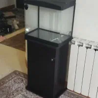 آکواریوم ماهیران