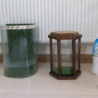 آکواریوم خاص