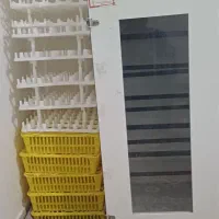 دستگاه جوجه کشی