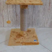 اسکرچر گربه