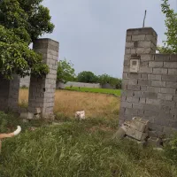 زمین-توی-طرح-پیشنهادی-مسکونی-لب-خیابون