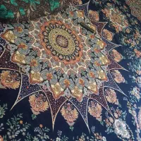 روفرشی ۱۲ جفت