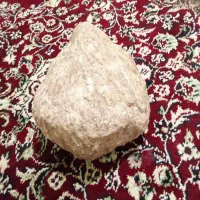 فسیل|کلکسیون اشیاء عتیقه|مهربان, |دیوار