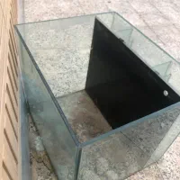 آکواریوم آب شور