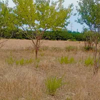 زمین-کشاورزی
