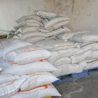 دان پارس اصل باکیفیت تضمینی