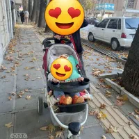 کالسکه کریرساک خارجی. رنگ اسپرت دخترونه وپسرونه.|کالسکه و لوازم جانبی|سنندج, |دیوار