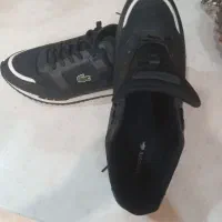 کتونی های کوالیتی ویتنام برند،لاکوست نو پا نخورده