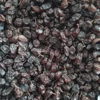 کشمش پلویی وافتابی