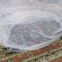 پشه بند یکنفره|کوهنوردی و کمپینگ|تهران, پاسداران|دیوار