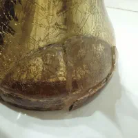 گل خارجی|گل مصنوعی|مشهد, پروین اعتصامی|دیوار