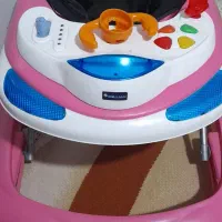روروئک صورتی