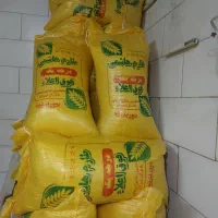 برنج هاشمی|عمدهفروشی|قم, دانش|دیوار