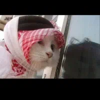 نظافت منزل شرکت ارغوان امید (ثبت رسمی)