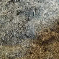 فروش علف خورد شده