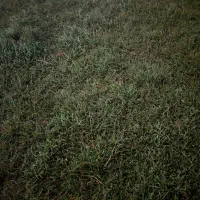 فروش-زمین-مسکونی