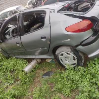 206 تصادفی شوش