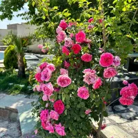 باغ ویلای لوکس|فروش خانه و ویلا|بشاریات, |دیوار