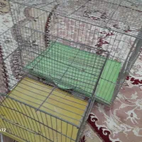 ۲عدد قفس  و لانه عروس هلندی