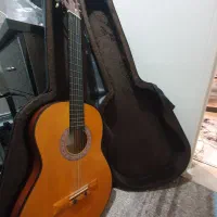 گیتار/کیف گیتار/باهم/هاردکیس