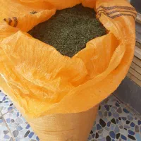 ترخون صادراتی