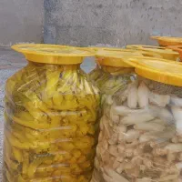 فروش ترشی بیلحر