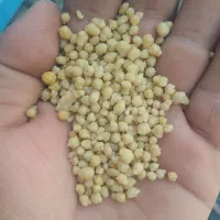 کوددی آمونیوم فسفات رازی