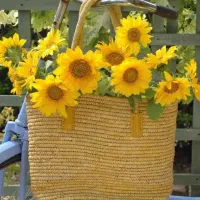 نیرو جوان مجرد