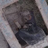 ترازوی بی‌نظیر|فروشگاه و مغازه|پارس‌آباد, |دیوار