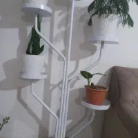 استند گل|کتابخانه، شلف، قفسههای دیواری|زنجان, |دیوار