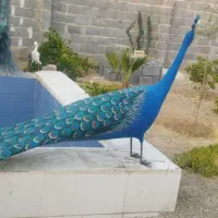 طاووس|صنایع دستی و سایر لوازم تزئینی|شیراز, اکبر آباد|دیوار
