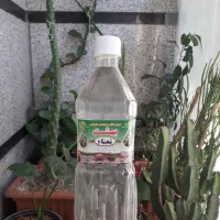 گلاب بهشت،  عرق نعنا بهشت|خوردنی و آشامیدنی|تهران, جی|دیوار