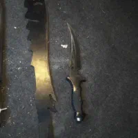 چاقو معاوضه با کبوتر