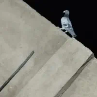 تبعیدی|پرنده|نیشابور, دهنو|دیوار