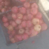 انار ربی درجه یک