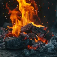 فروش ذغال چینی و نارگیل درجه به شرط