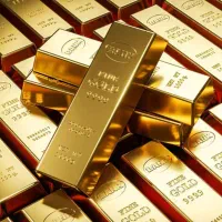 سرمایه گذاری و درآمد دلاری تضمینی محصول صادرات ی