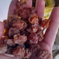 آلوچه خشک|خوردنی و آشامیدنی|گوگان, |دیوار