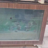 اکواریوم