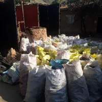 تولید و فروش ذغال کبابی فله و بسته بندی|عمدهفروشی|مینودشت, |دیوار